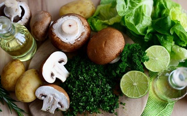 Balanced Meals for Optimal Energy Levels